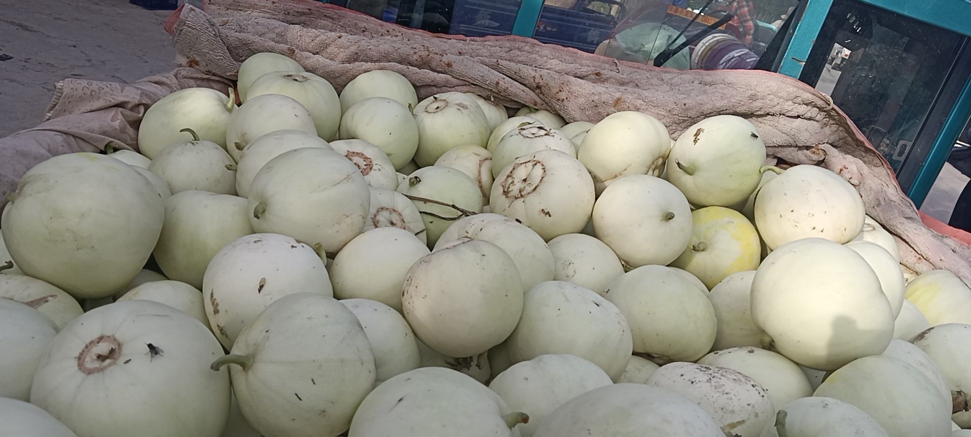 市场中堆放的新鲜绿宝甜瓜展示其整齐排列与成熟状态 市场中堆放的新鲜绿宝甜瓜展示其整齐排列与成熟状态