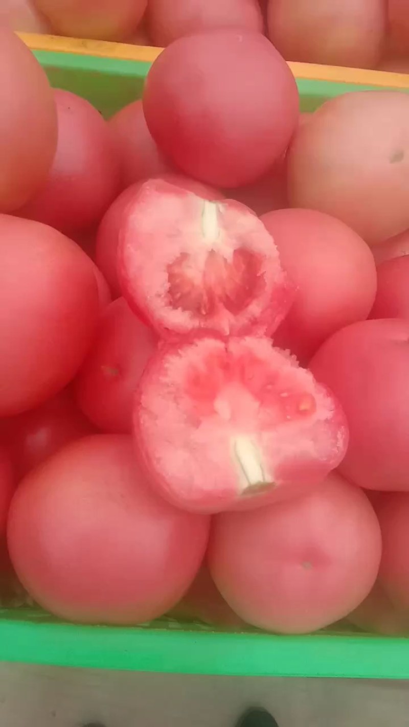 西葫芦
