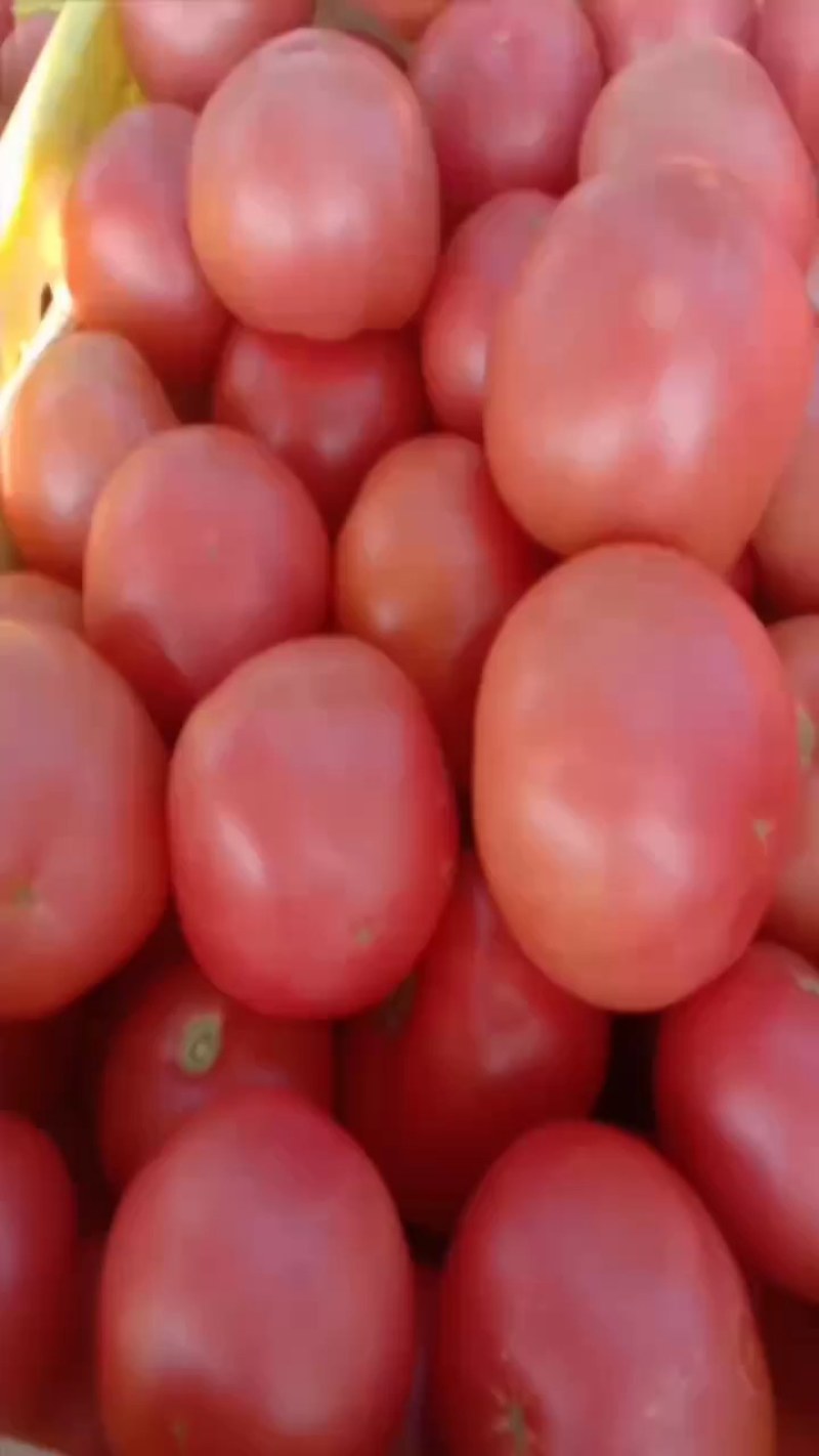 西葫芦