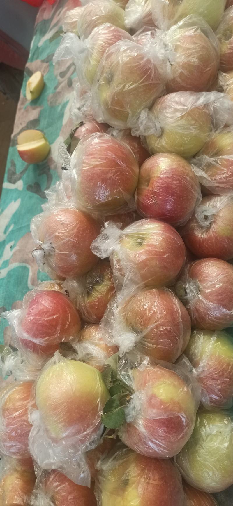 江苏丰县大沙河早熟苹果以大量上市中