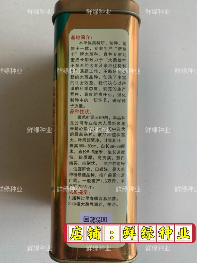 章丘菜葱系叶绿王100抗病抗倒丰产生长速度快