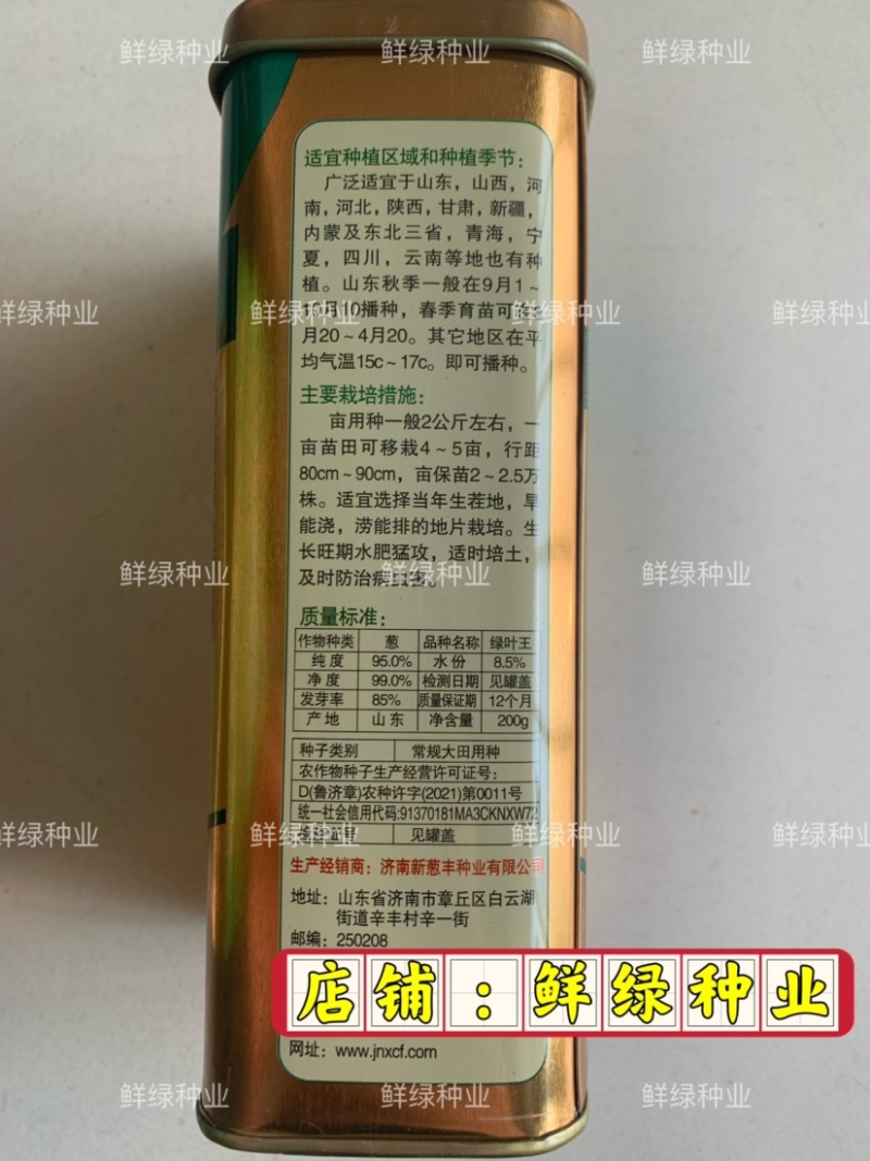 章丘菜葱系叶绿王100抗病抗倒丰产生长速度快