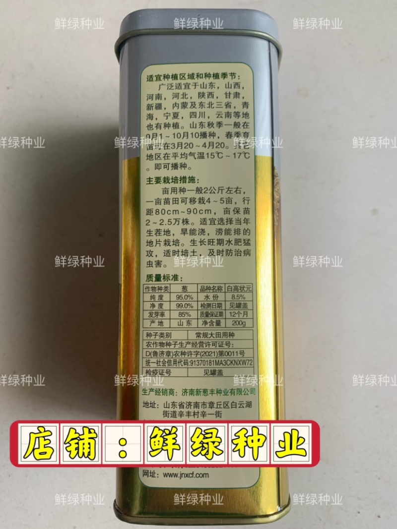 章丘菜葱系叶绿王100抗病抗倒丰产生长速度快