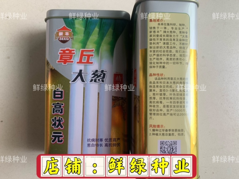 章丘菜葱系叶绿王100抗病抗倒丰产生长速度快