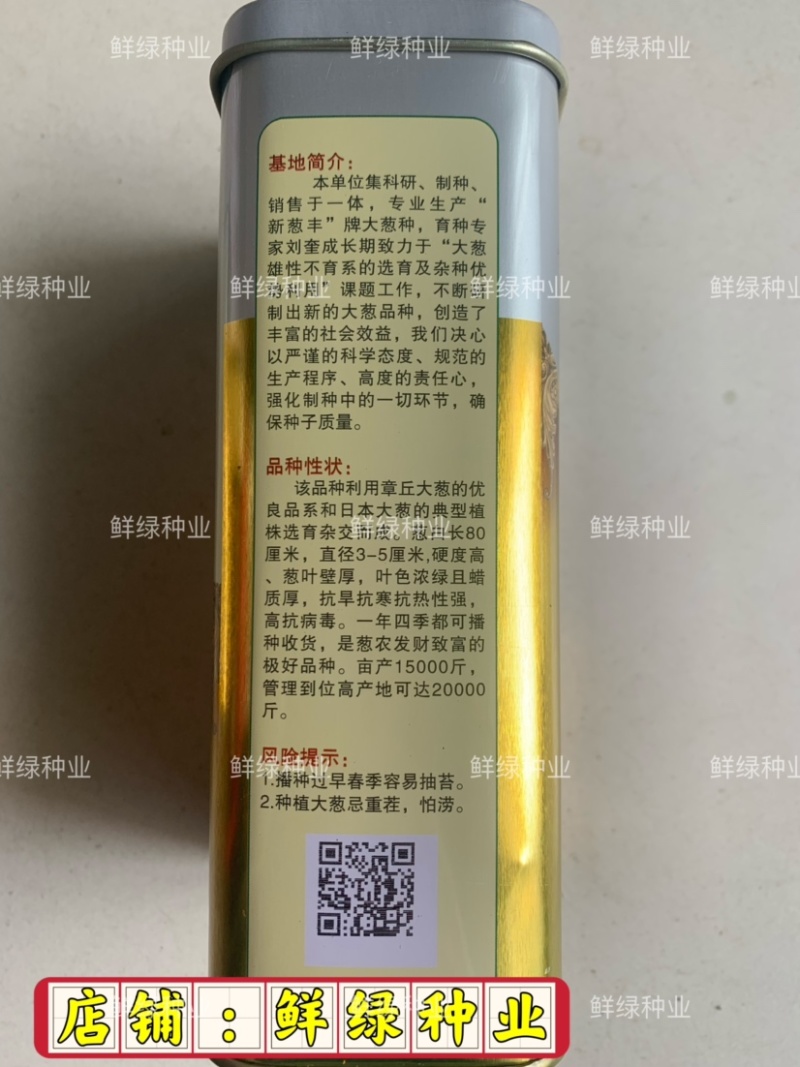 章丘菜葱系叶绿王100抗病抗倒丰产生长速度快