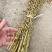 益母草药厂工艺