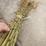 益母草药厂工艺