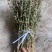 益母草药厂工艺