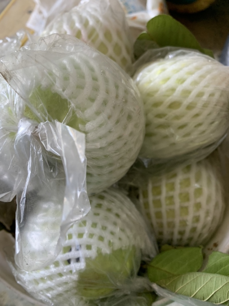 绿色健康食品