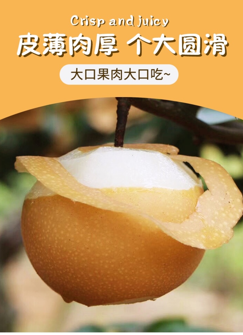 秋月梨礼盒正宗秋月梨送礼礼盒社区团购工厂福利