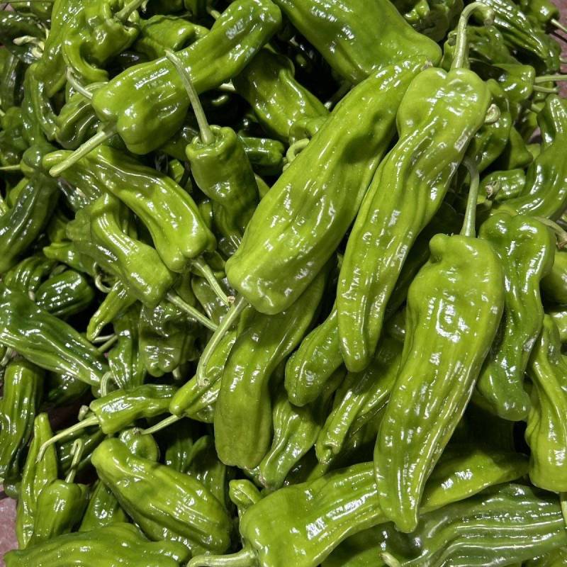 【推荐】湖北芜湖椒薄皮青椒，鲜辣椒，价格便宜，欢迎采购