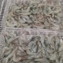 湛江本土出产精品小海虾，可订制，价格实惠，厂家直销。