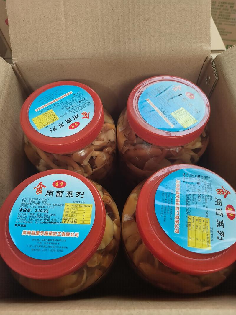【优选】(滑子菇)蘑菇罐头价格美丽厂家货源诚招代理
