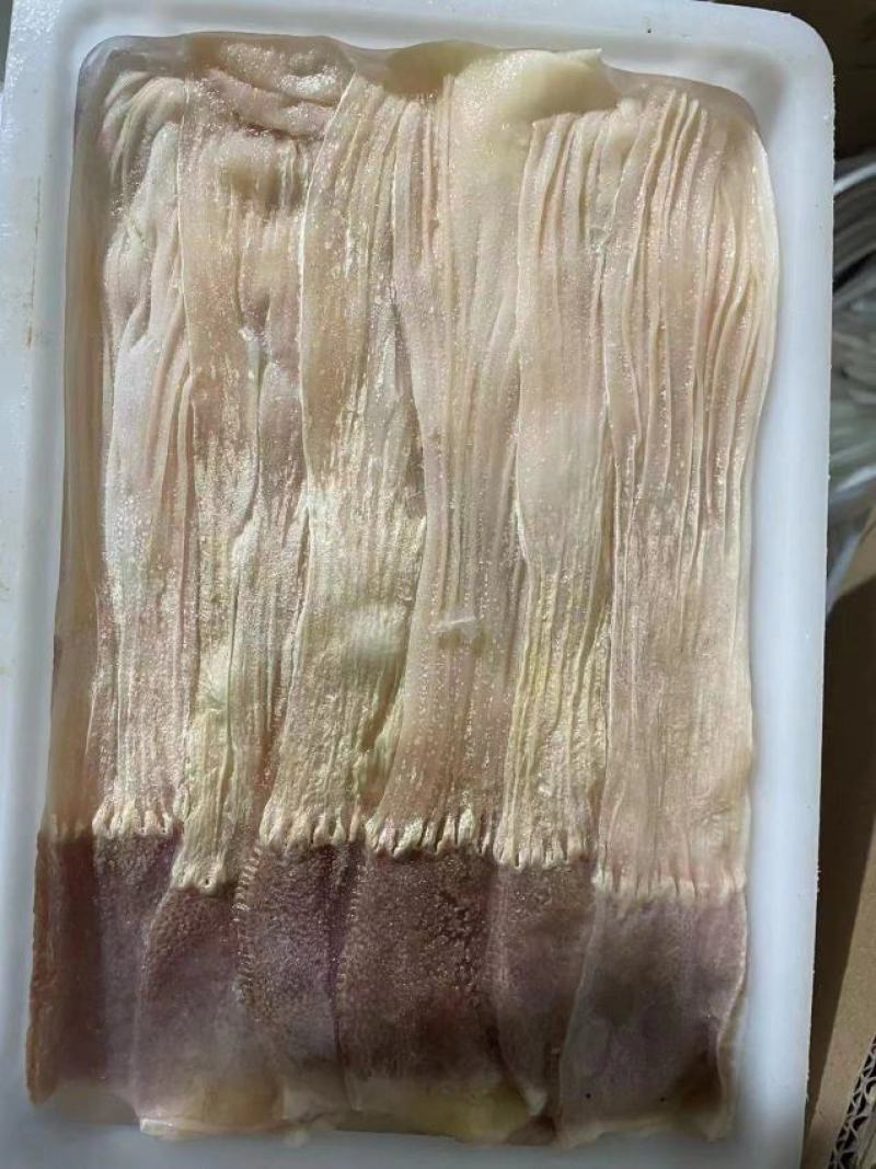 鸭食管