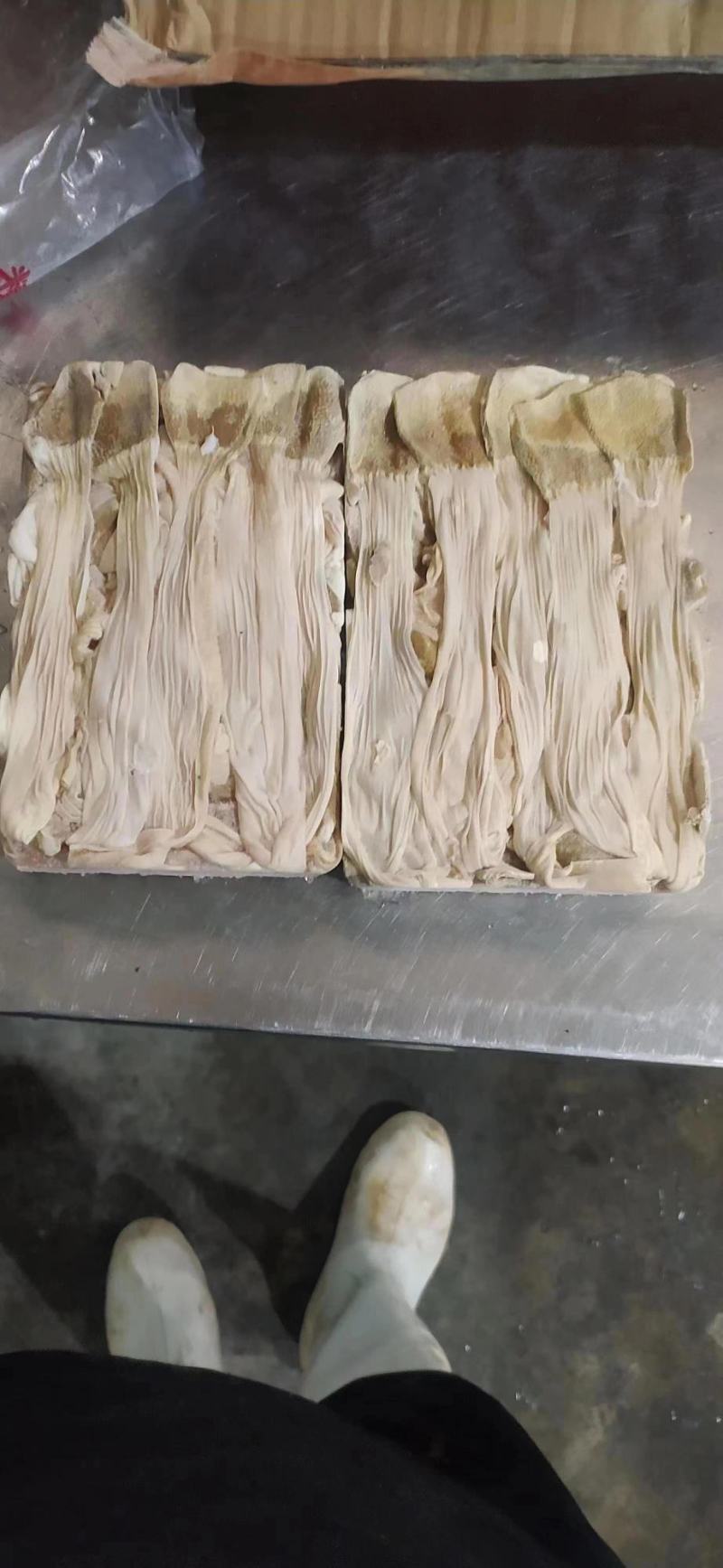 鸭食管
