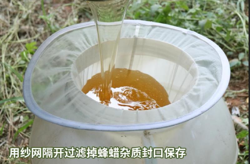 【精】广东蜂蜜土蜂蜜自家养殖货源保证欢迎来电订购