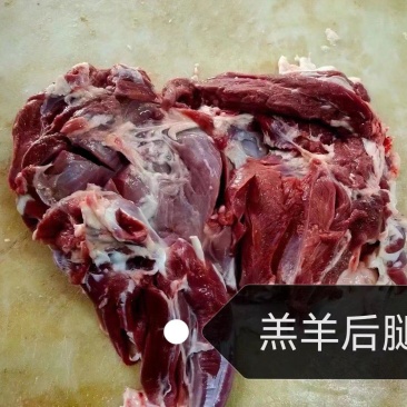 羔羊后腿肉，剃骨肉，大块后腿肉，质量保证，长期有货