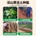 十多年的大量深山精品巴戟天可干货可新鲜发货！