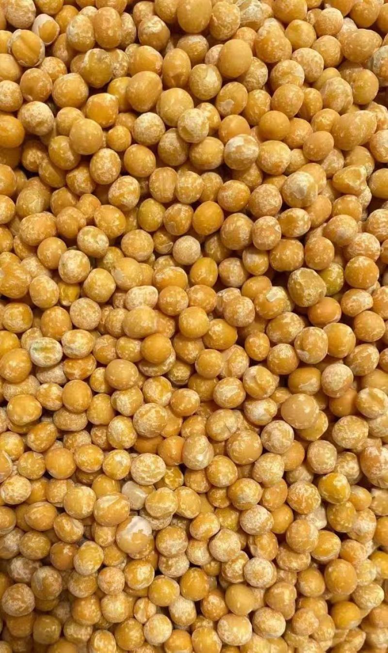 脱皮豌豆食品级