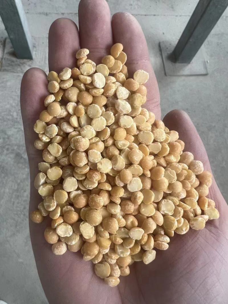 脱皮豌豆食品级