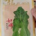 自抱叶紧花菜种子白花菜种子