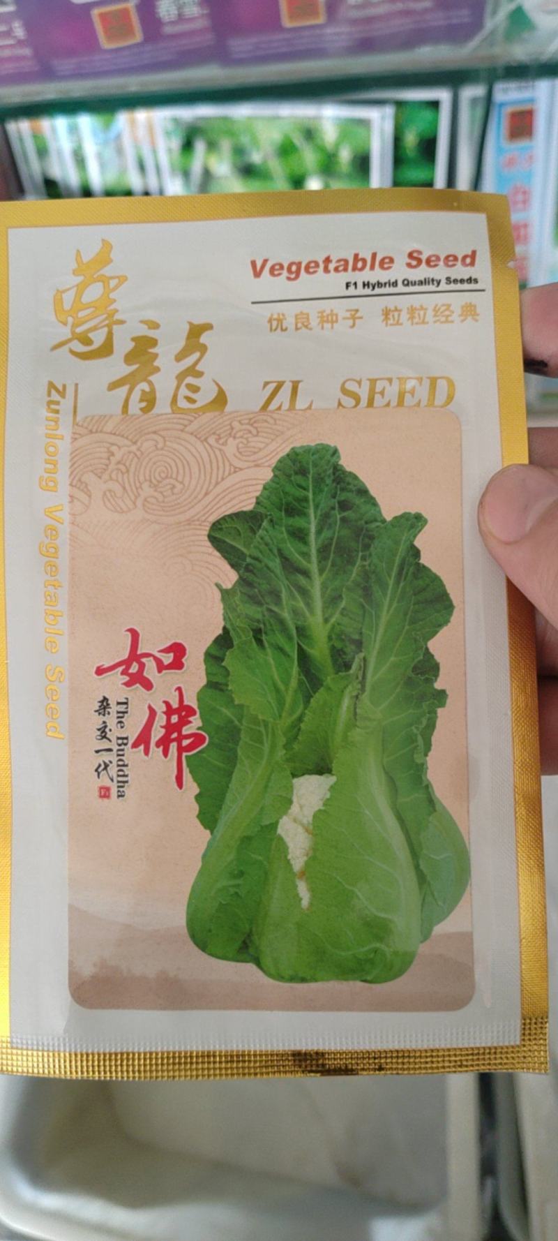 自抱叶紧花菜种子白花菜种子