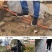 除草神器铲子铲草锰钢清理地面铲土铲刀铁锹保洁养殖清粪农