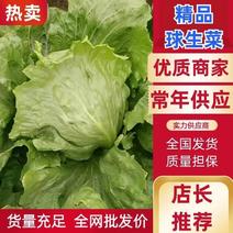 【球生菜】北京优质球生菜，一手货源，全国发货，可视频
