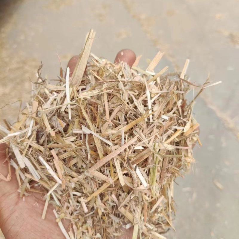 麦秸大白包，五道绳柔丝除尘！量大走货，欢迎各地采购商来电