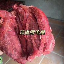 8成熟牛肉味猪腱子前腱后腱龟腱小腱猪肉厂家供应