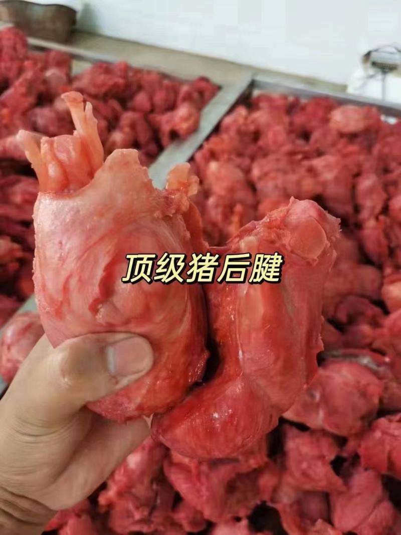8成熟牛肉味猪腱子前腱后腱龟腱小腱猪肉厂家供应