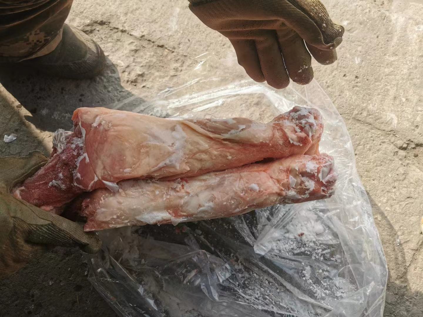 农贸市场中悬挂的新鲜猪肉与背景中待宰的活猪形成对比