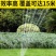 自动洒水器浇水神器喷洒喷灌喷头浇花园林绿化草坪灌溉菜园浇