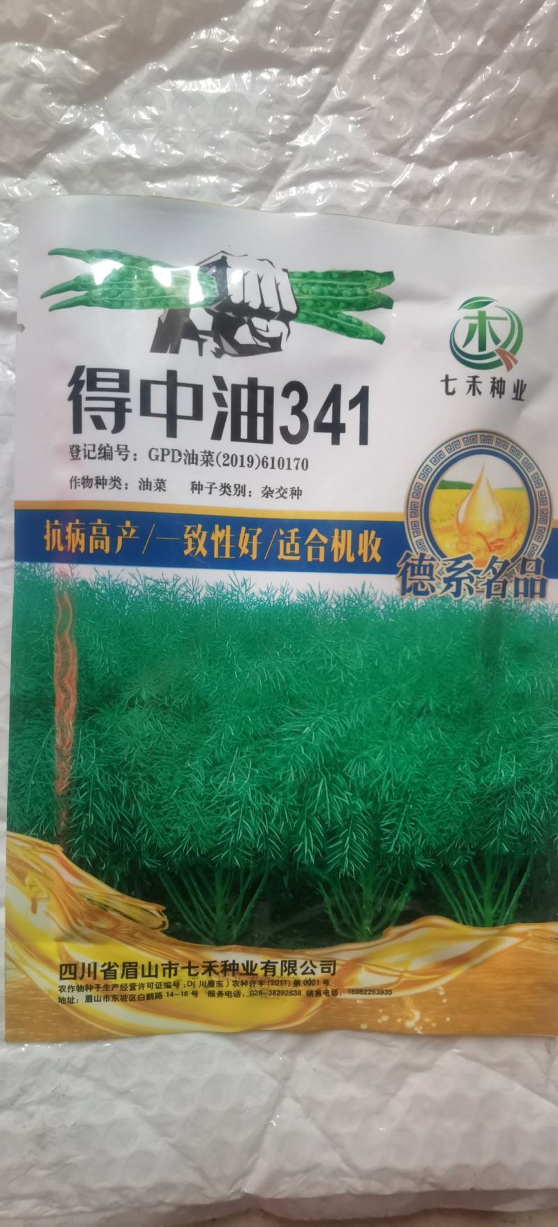 油菜种子德中油341德系高出油率矮杆分枝多夹密夹长