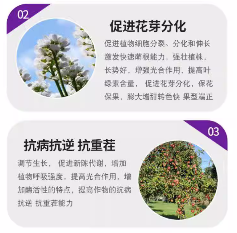 稀土氨基酸通用肥蔬菜果树增产肥增甜靓果着色防裂膨大