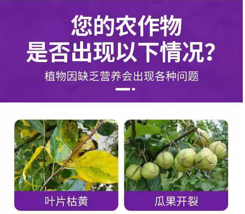 稀土氨基酸通用肥蔬菜果树增产肥增甜靓果着色防裂膨大