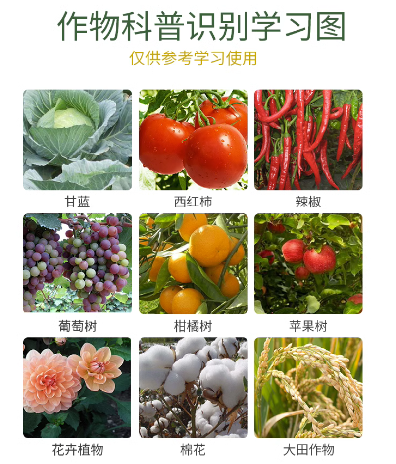 稀土氨基酸通用肥蔬菜果树增产肥增甜靓果着色防裂膨大