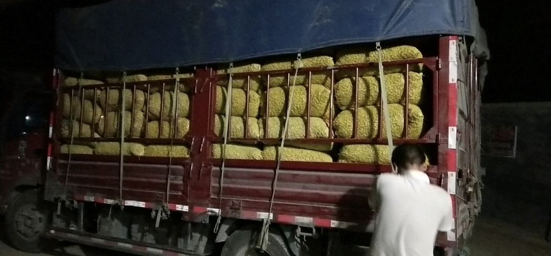 现代化花生榨油生产线