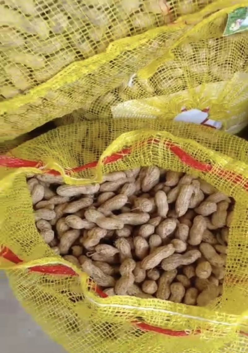 鲜花生鲁花系列小白沙产地一手货源电筛人工挑选
