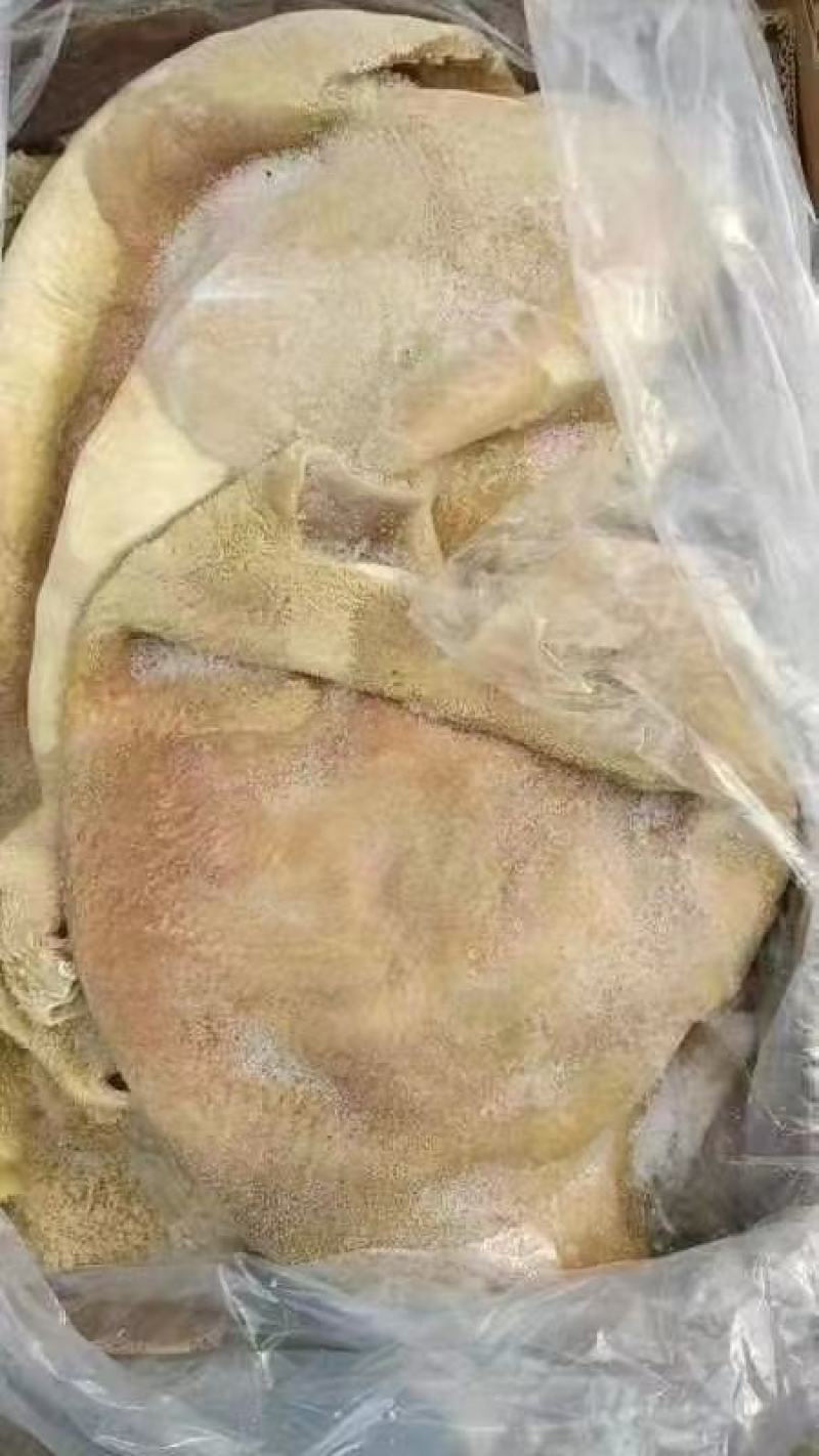纯干生牛肚