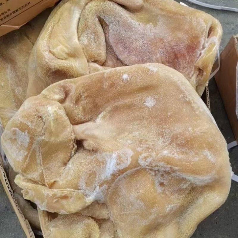 纯干生牛肚