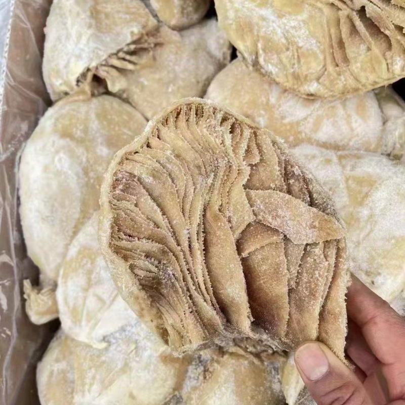 纯干生牛肚