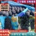 巨峰葡萄辽宁葡萄规格齐全糖度高中等颗粒发全国市场