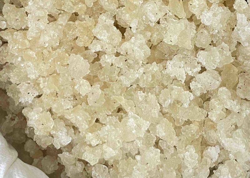 AAA雪燕大量现货一手货源量大从优对接全国客商包邮