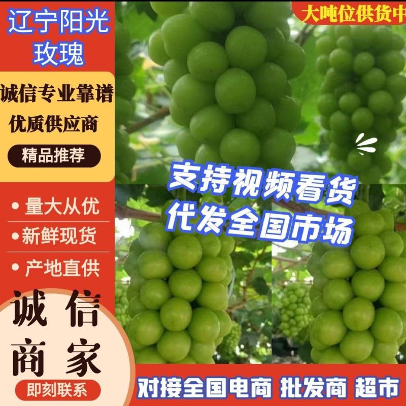 阳光玫瑰辽南葡萄规格齐全价格便质量好支持代发