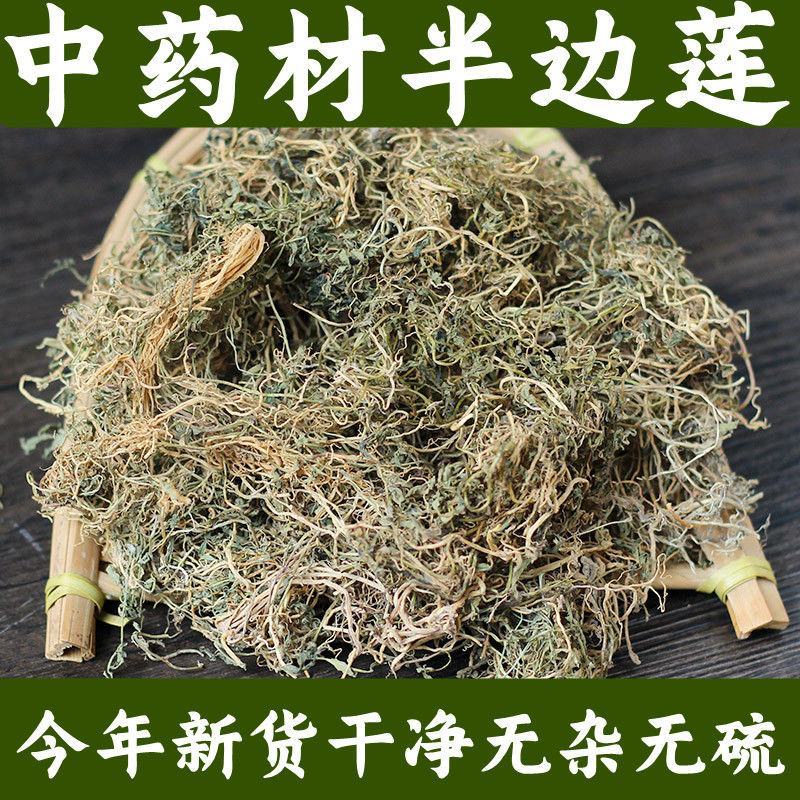 广西野生半边莲中草药半边连细米草半边花新货干中药材5