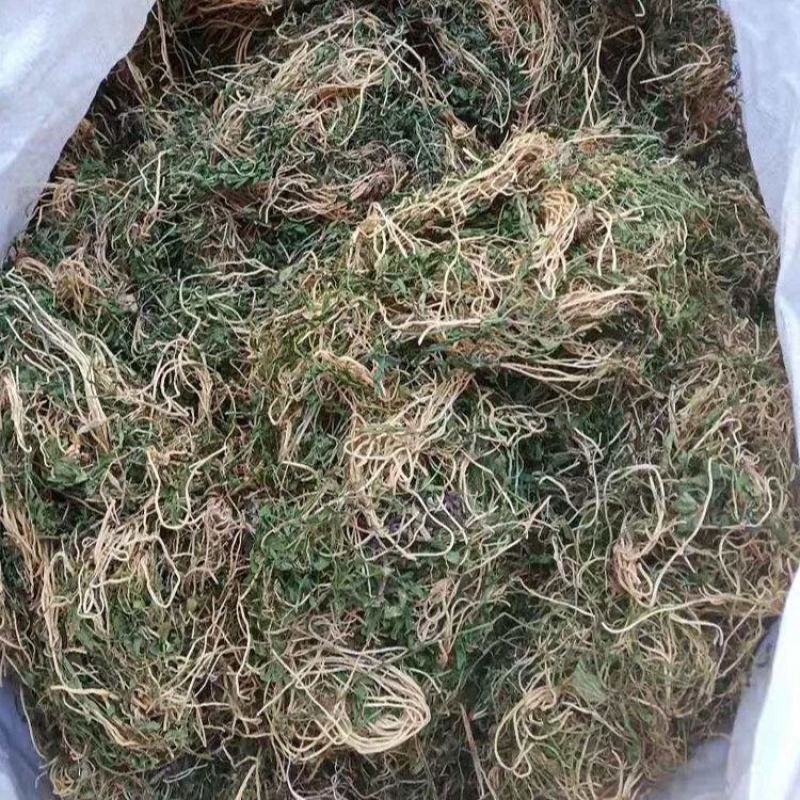 广西野生半边莲中草药半边连细米草半边花新货干中药材5