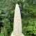 四川本地928小甜糯无虫无懒个头6789金堂分货