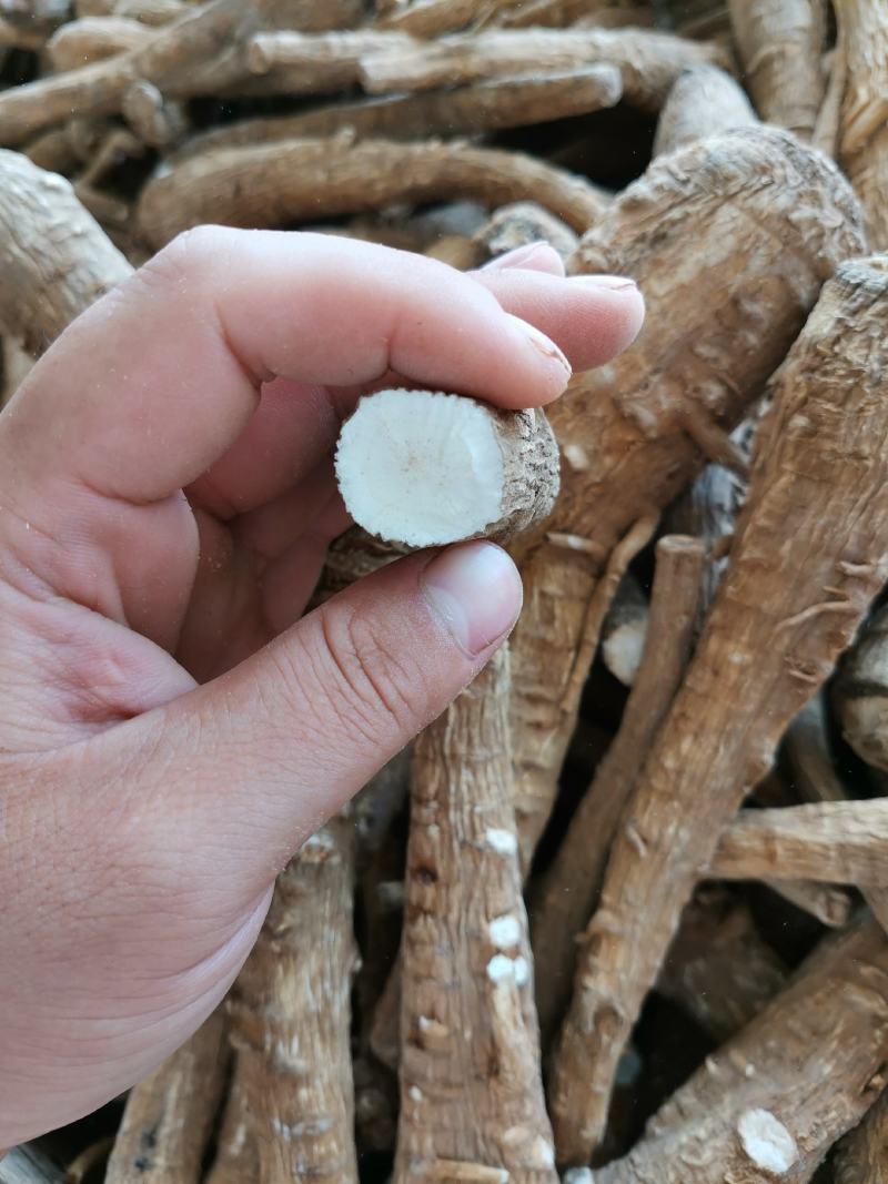 香料白芷个子中药白芷片亳白芷通货白芷条子带硫白芷无硫白芷