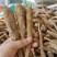 香料白芷个子中药白芷片亳白芷通货白芷条子带硫白芷无硫白芷